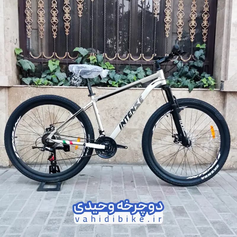 دوچرخه 29 اینتنز مدل CD200 | بدنه آلومینیوم — تصویر ۲