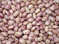 لوبیا چیتی یک کیلویی — تصویر ۶