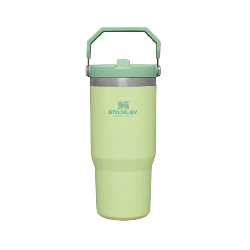 ماگ نی دار استنلی – Stanley Flip Straw tumbler 880 ml — تصویر ۶
