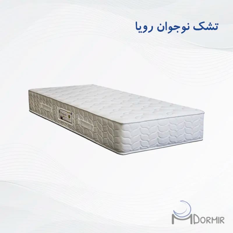 تشک نوجوان رویا — تصویر ۲