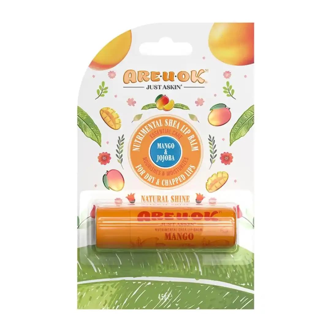 بالم مرطوب کننده لب با طعم انبه آریو اوکی 4 گرم/Are U Ok Mango and Jojoba Lip Balm