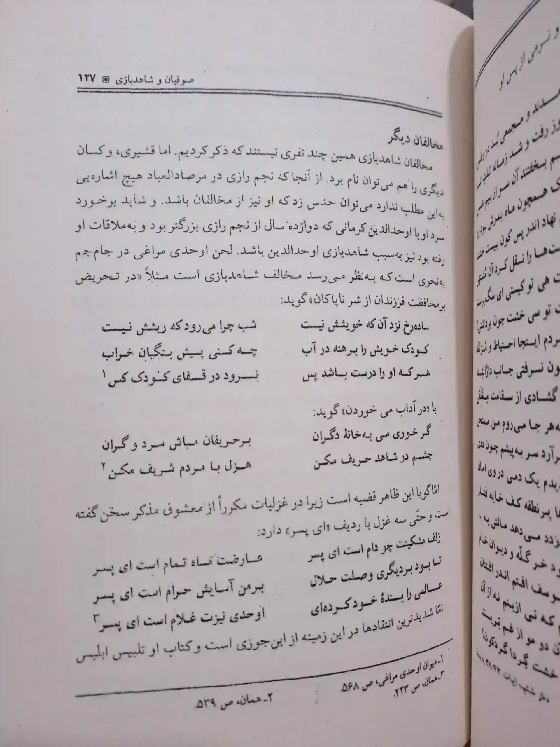 شاهد بازی در ادبیات فارسی — تصویر ۸