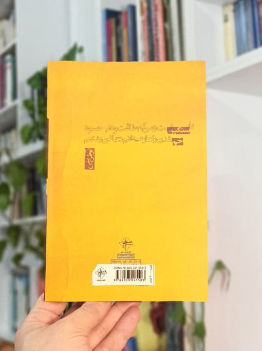 لوطی کشی — تصویر ۵