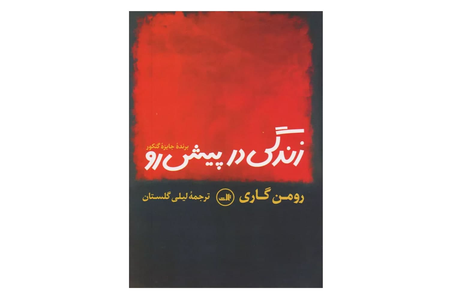 زندگی در پیش رو — تصویر ۹