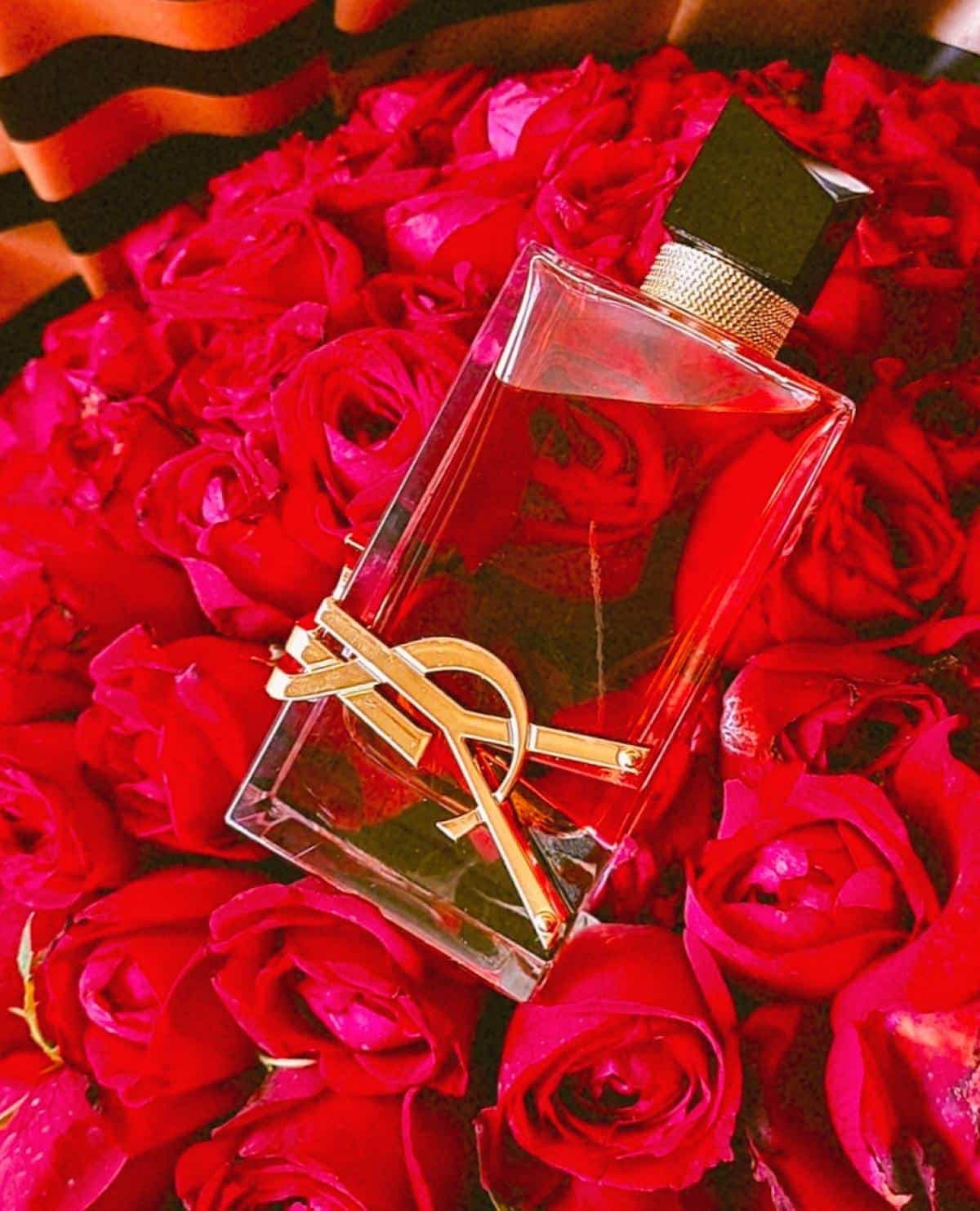 عطر ادکلن ایو سن لورن لیبر اینتنس اصل | Yves Saint Laurent Libre Intense EDP 90 ML — تصویر ۶