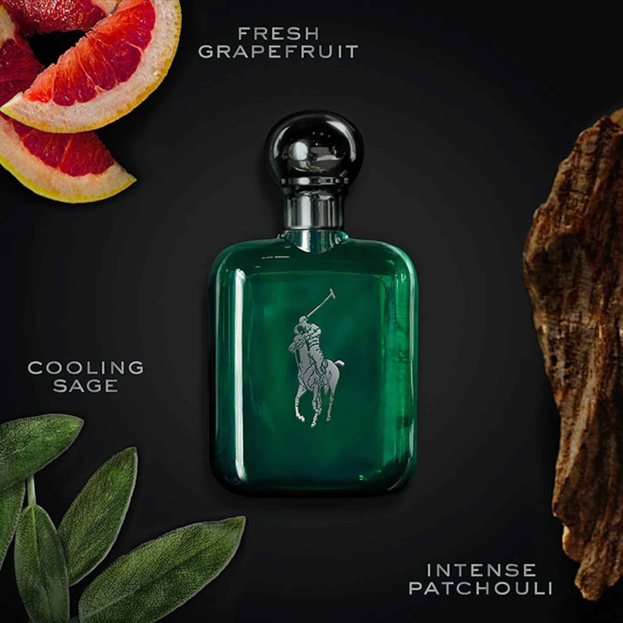 عطر ادکلن رالف لورن پولو سبز اصل | Ralph Lauren Polo 125 ml — تصویر ۸