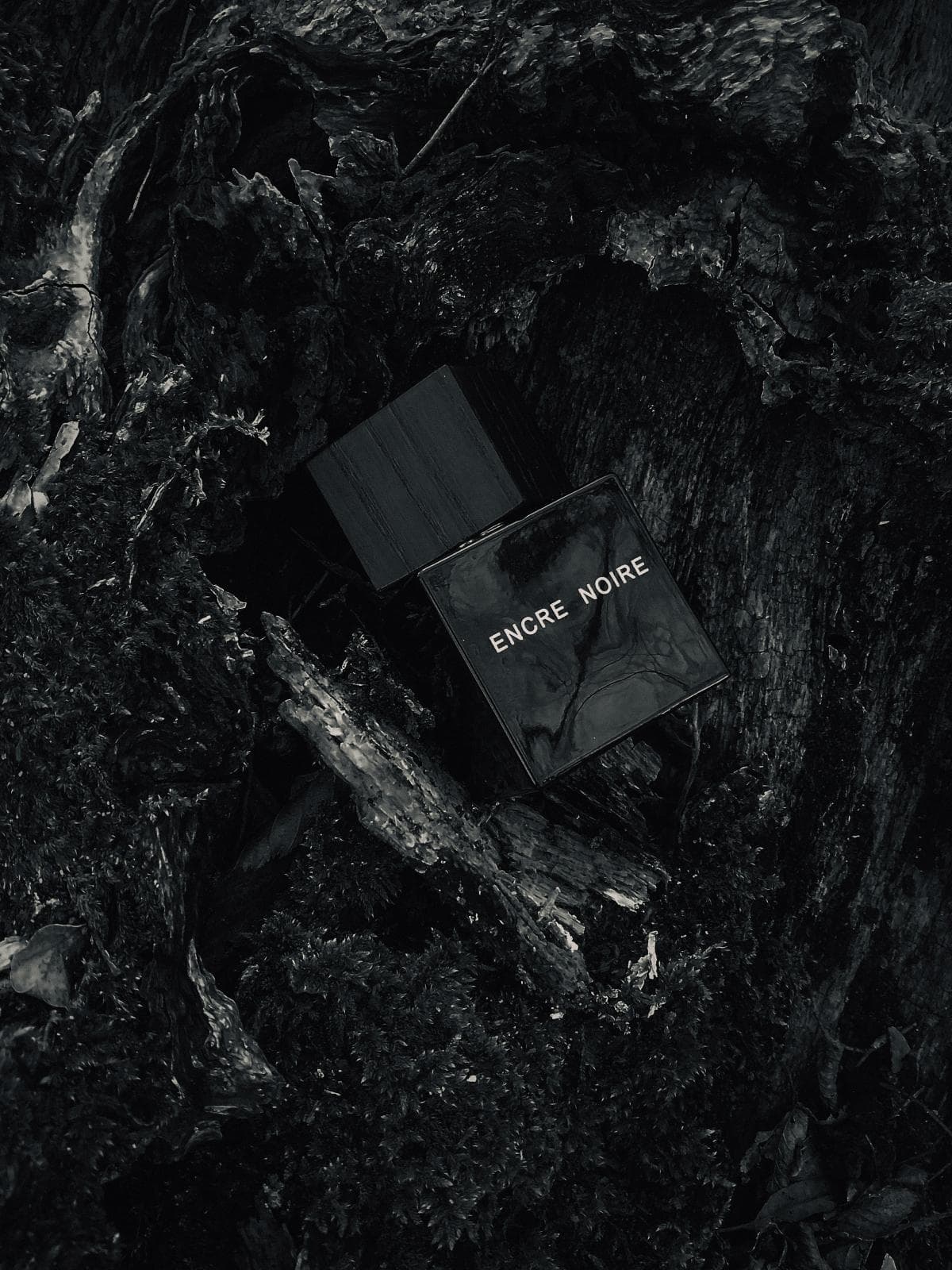 ادکلن لالیک مشکی انکر نویر اصل | Lalique Encre Noire 100 ml