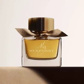 عطر ادکلن باربری مای ادوپرفیوم | Burberry My Burberry EDP — تصویر ۱۲