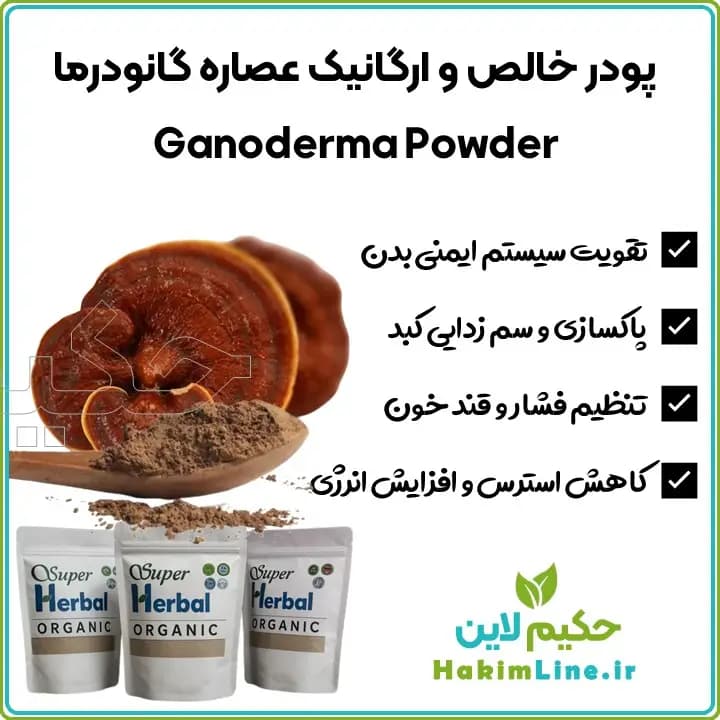پودر قارچ گانودرما ریشی ژاپنی | آسیاب شده | ارگانیک و خالص (ضمانت اصالت کالا)