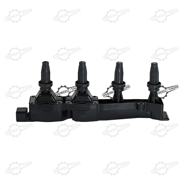 کوئل 206 تیپ 5 طرح مایفو کارو — تصویر ۱۰