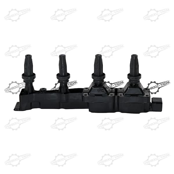 کوئل 206 تیپ 5 طرح مایفو کارو — تصویر ۲