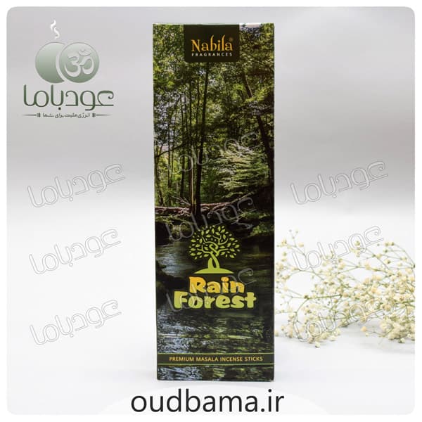 عود دست ساز جنگل بارانی رین فورست RAIN FOREST ( نابیلا NABILA ) — تصویر ۳