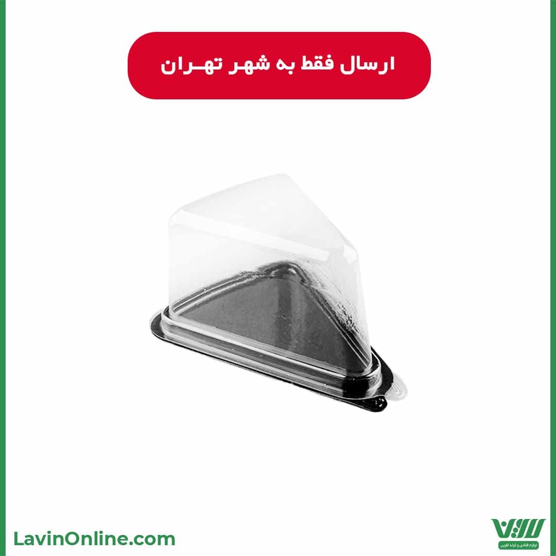 ظرف حمل اسلایس مثلث (5 عددی)