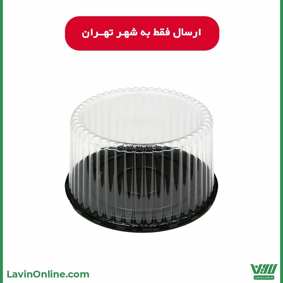 ظرف حمل کیک 25 (2 عددی) — تصویر ۶