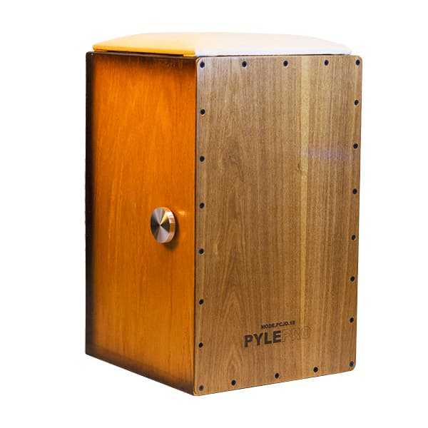 کاخن PYLEPRO