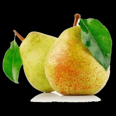 نهال گلابی درگزی — تصویر ۱۲