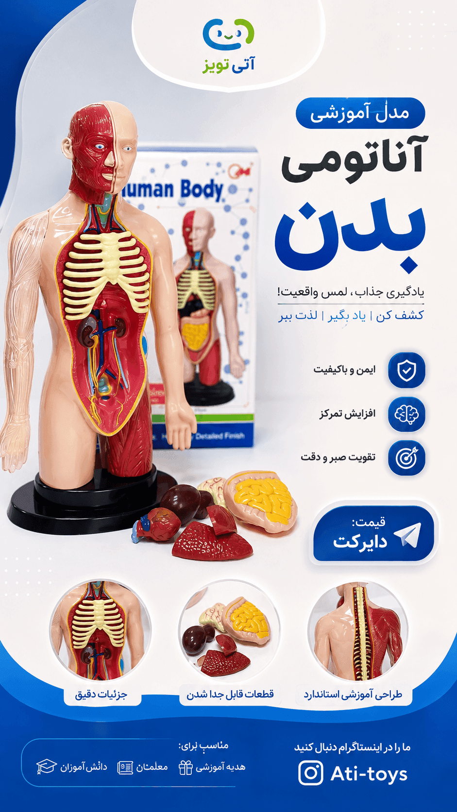 ماکت و آناتومی بدن انسان و کودک 22تکه — تصویر ۵