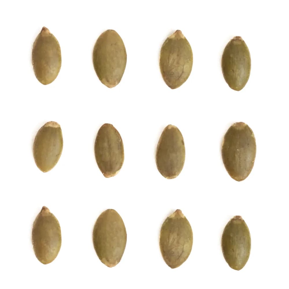 مغز تخمه کدو گوشتی برشته نمکی — تصویر ۶