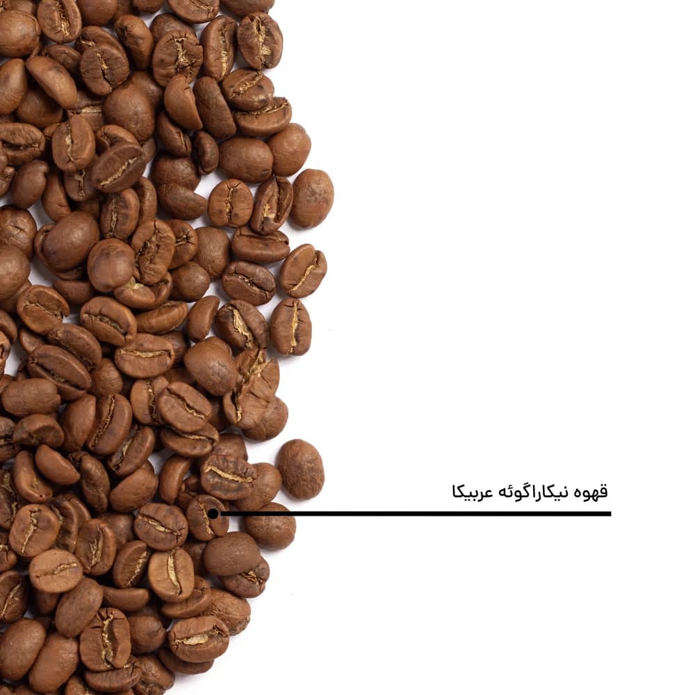 قهوه عربیکا نیکاراگوئه — تصویر ۸