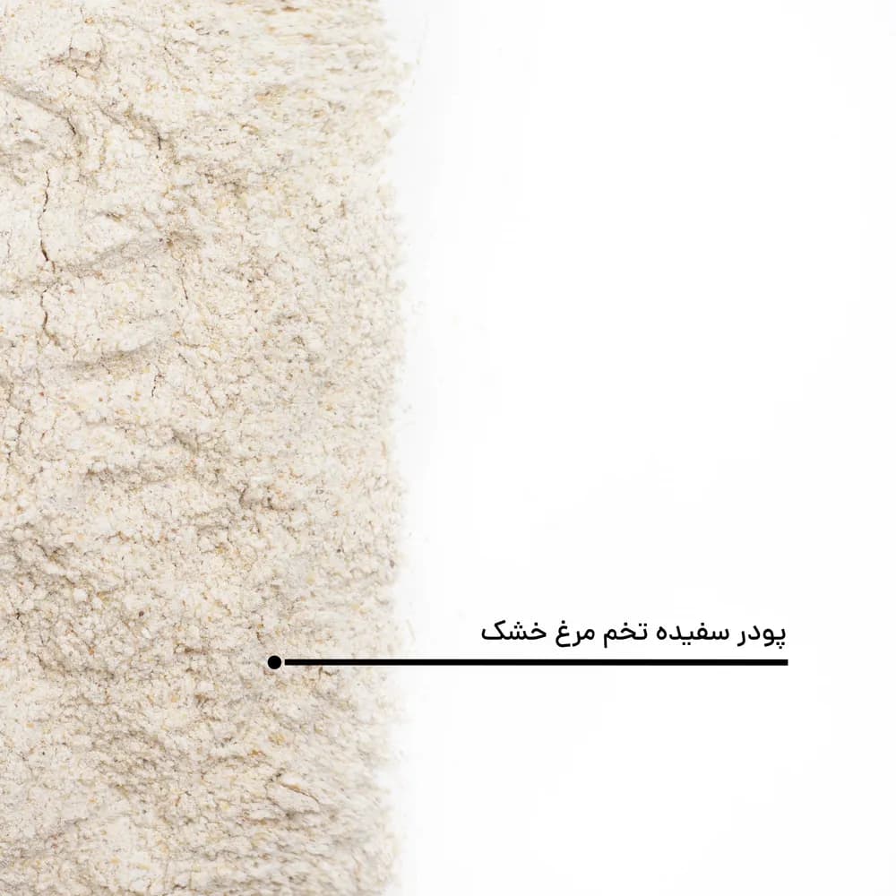 پودر سفیده تخم مرغ خشک — تصویر ۵