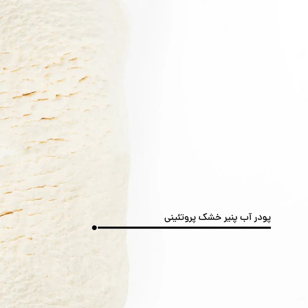پودر آب پنیر خشک پروتئینی — تصویر ۵