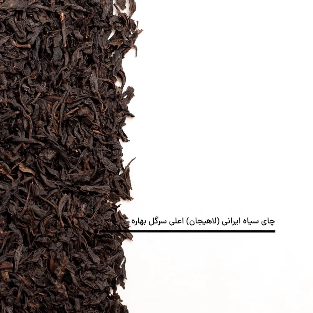 چای سیاه سرگل بهاره لاهیجان اعلی — تصویر ۵