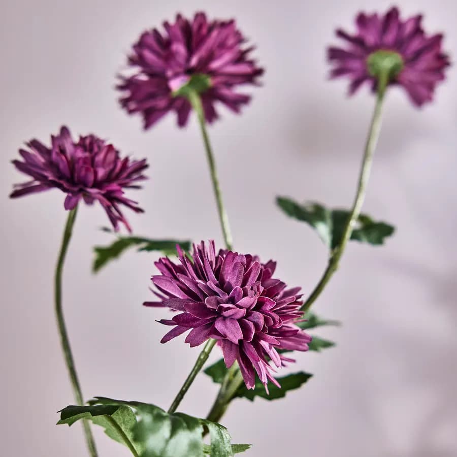 گل مصنوعی ایکیا مدل SMYCKA، نوع Chrysanthemums، یاسی، ارتفاع ۷۱ سانتی‌متر — تصویر ۵