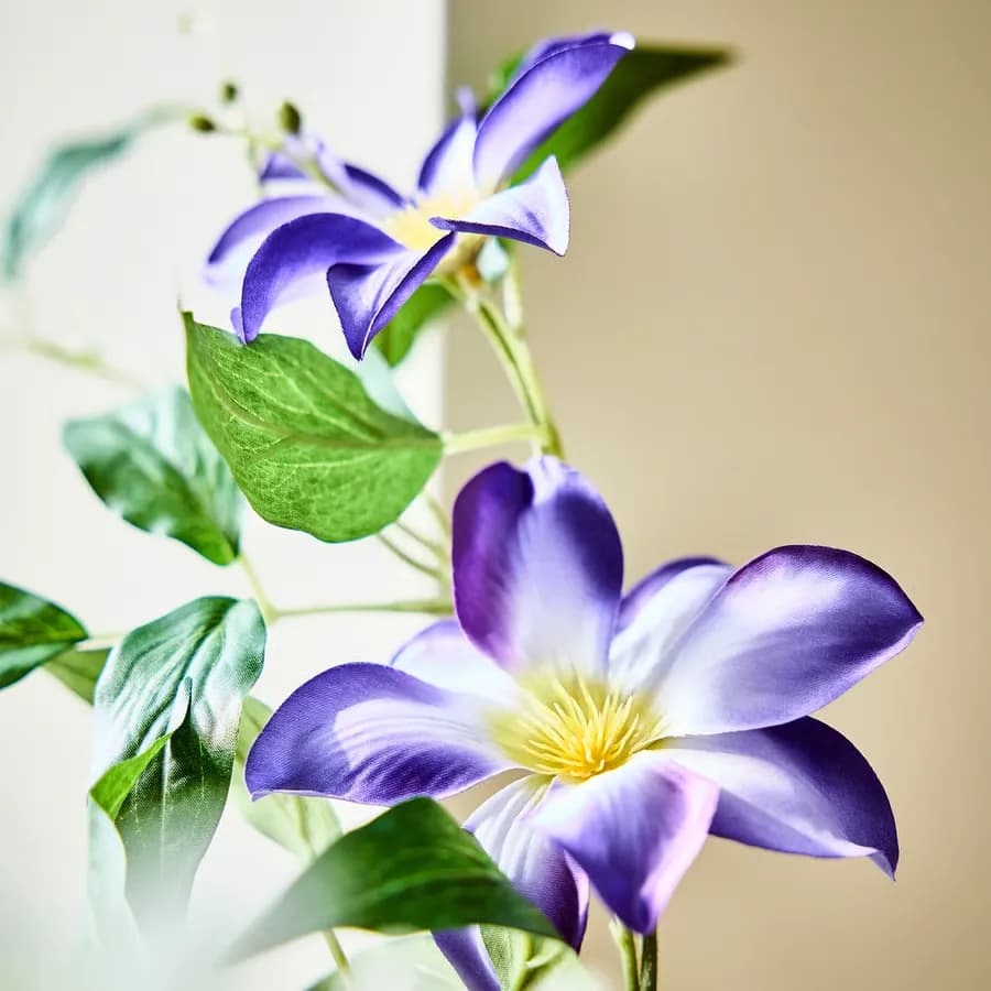گل مصنوعی ایکیا مدل SMYCKA، نوع Clematis، آبی، ارتفاع ۹۷ سانتی‌متر — تصویر ۹