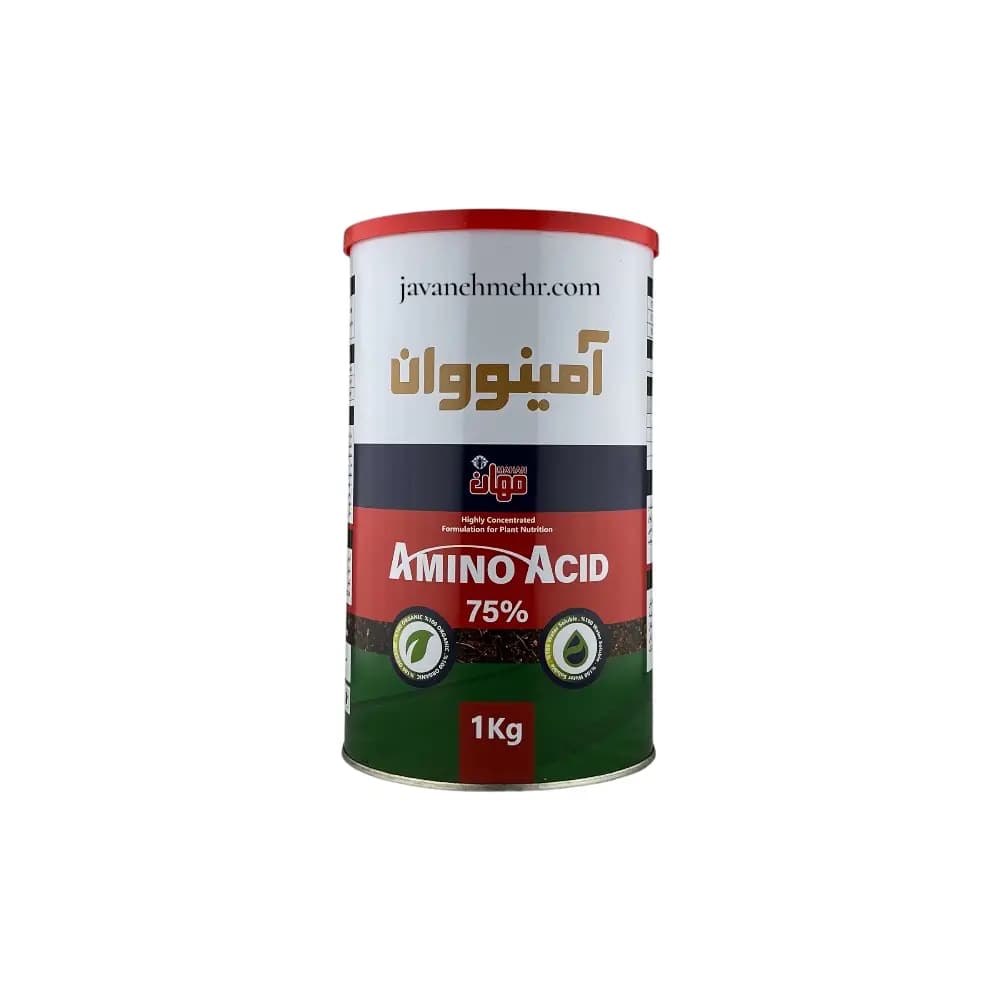 آمینووان 75 % چینی مهان — تصویر ۴