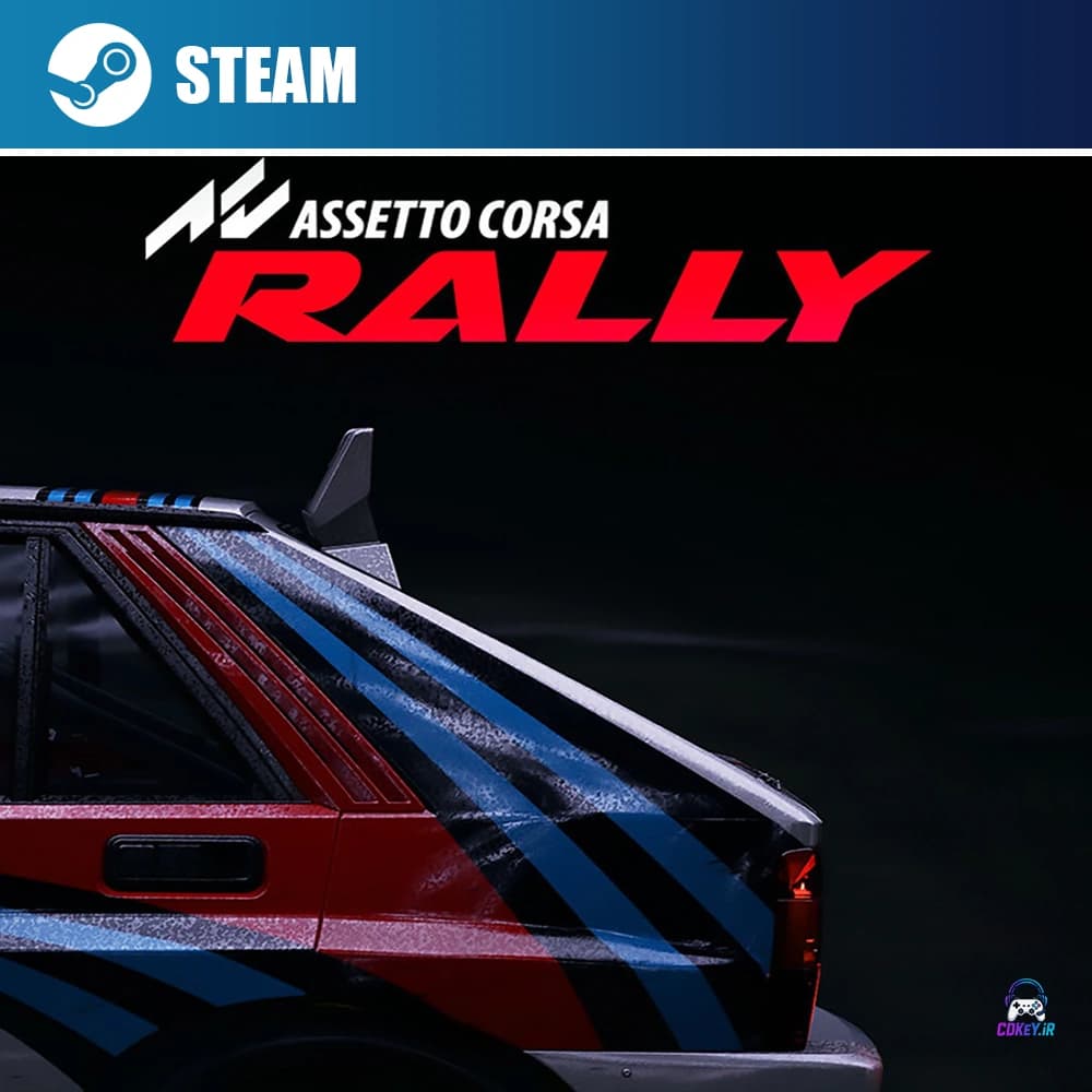 بازی Assetto Corsa Rally استیم Steam — تصویر ۳