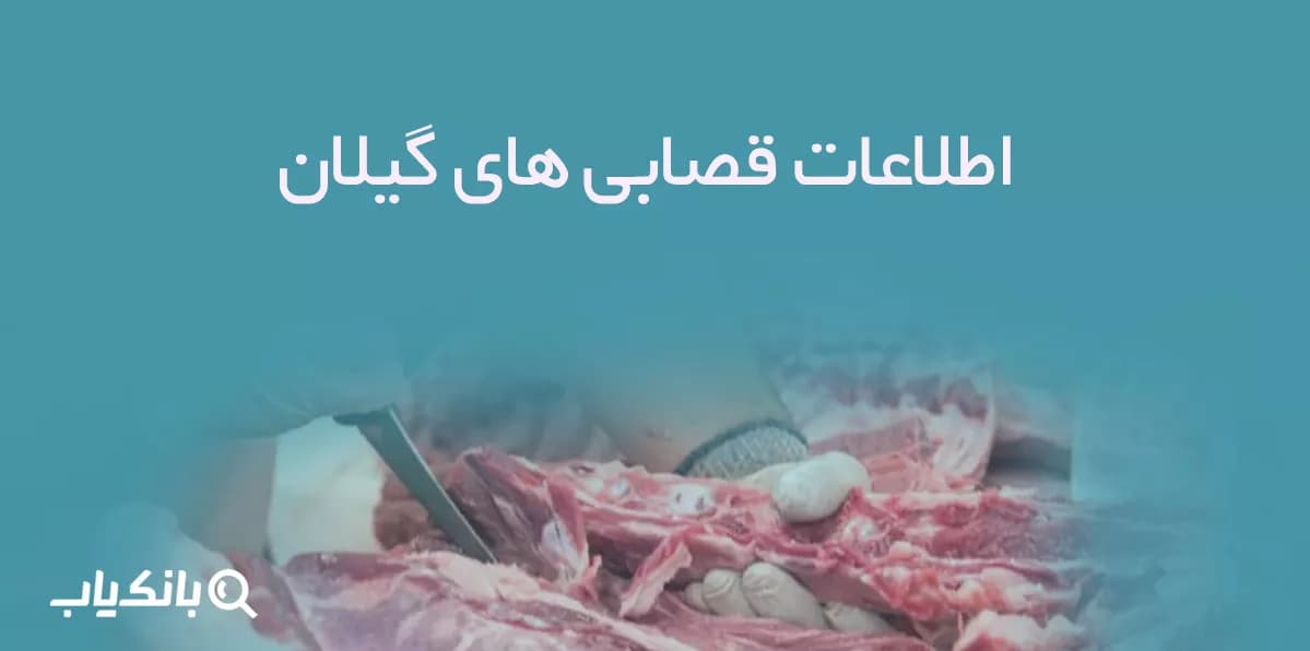 بانک اطلاعات قصابی های گیلان — تصویر ۴