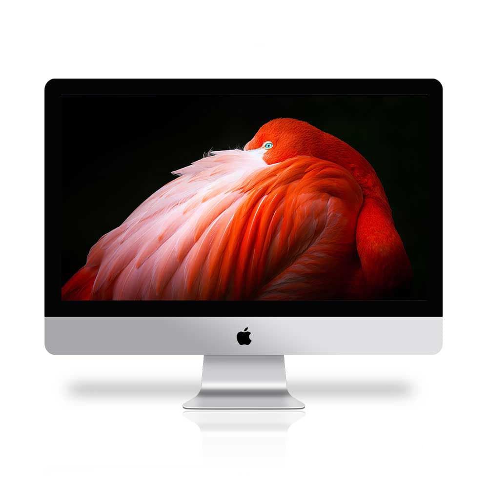 آیمک 21.5 اینچی اپل 2019 مدل APPLE iMAC A2116 / i5-9400F / 16GB / 512GB / 2GB — تصویر ۴