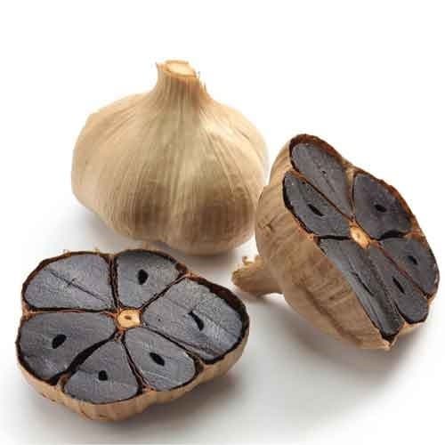 سیر سیاه رو از کجا بخریم