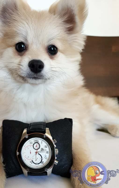 ساعت 4 موتوره TAG HEUER 5738G اصل سویسی — تصویر ۷