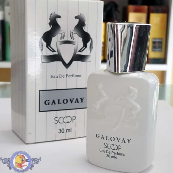 عطر گلووی Galloway شرکت Scoop — تصویر ۴