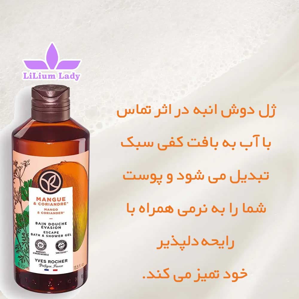 شامپو بدن انبه ایوروشه ۴۰۰ میل — تصویر ۸
