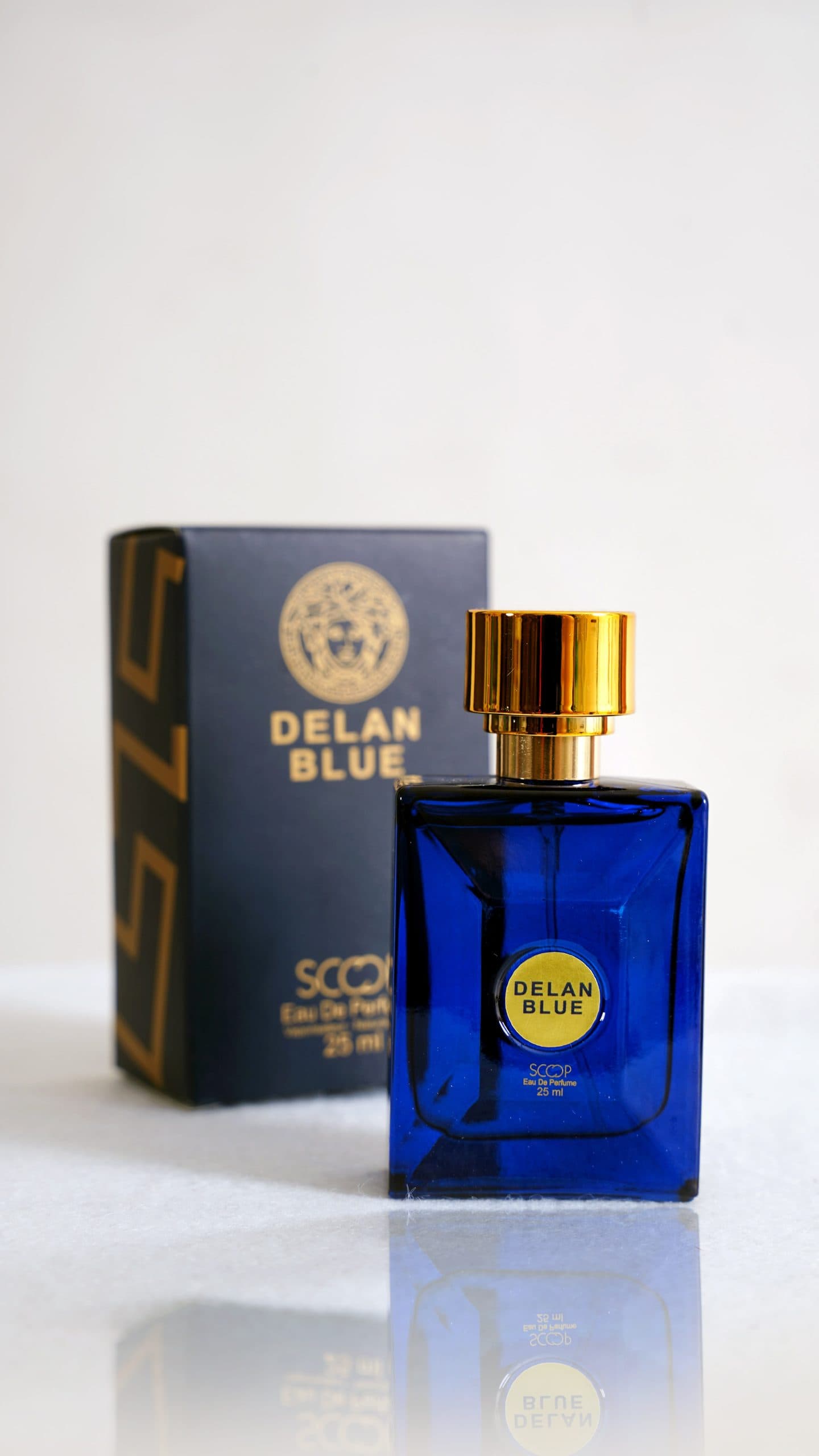 ادکلن ورساچ مدل دایلان بلو مردانه 25 میل اسکوپ DELAN BLUE SCOOP Perfume