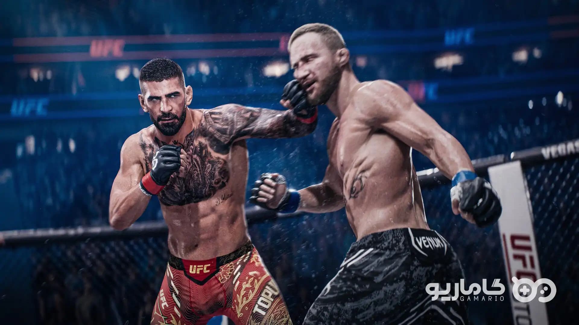 UFC 6 Ultimate Edition — تصویر ۹