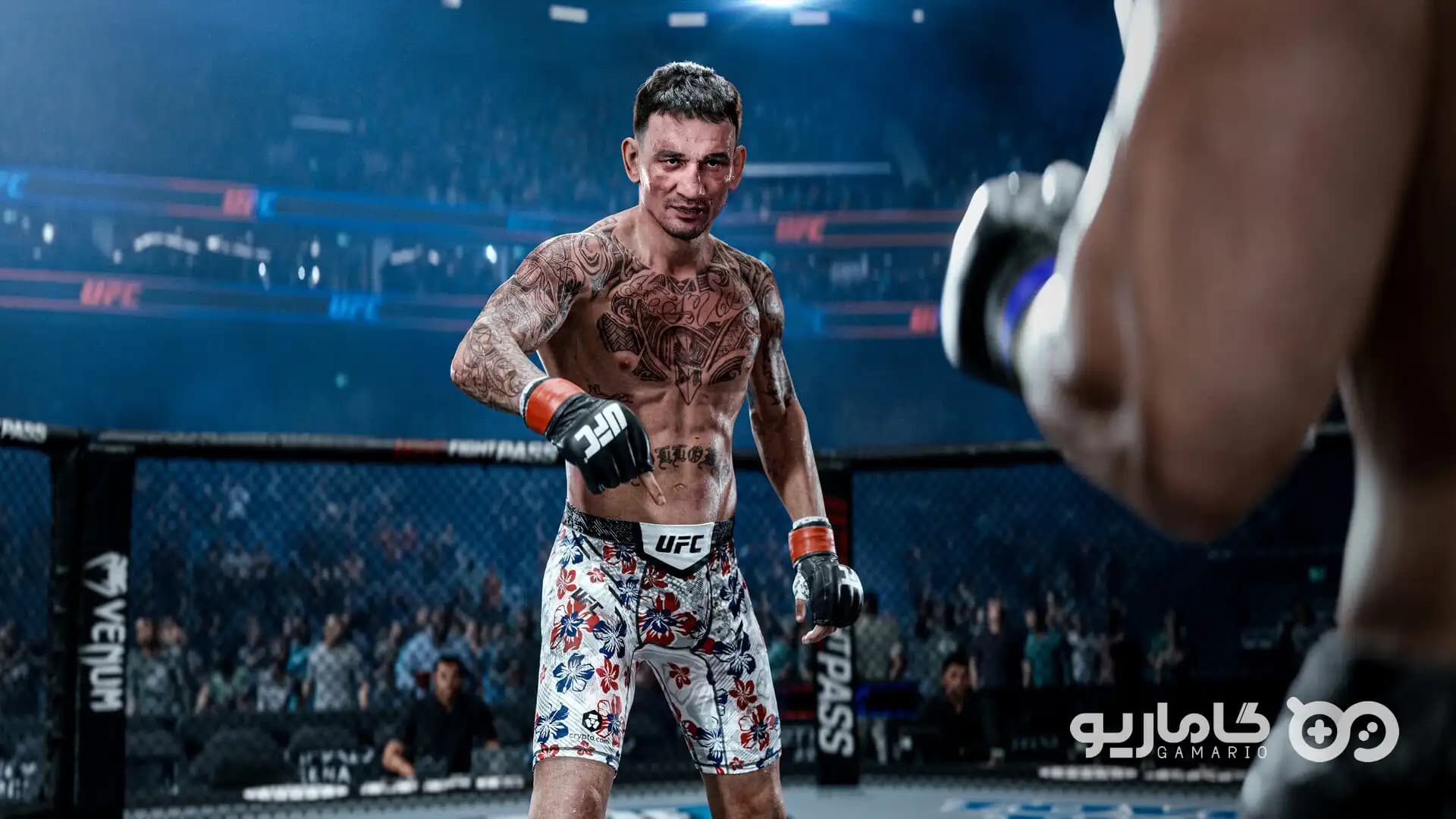 UFC 6 Ultimate Edition — تصویر ۱۲
