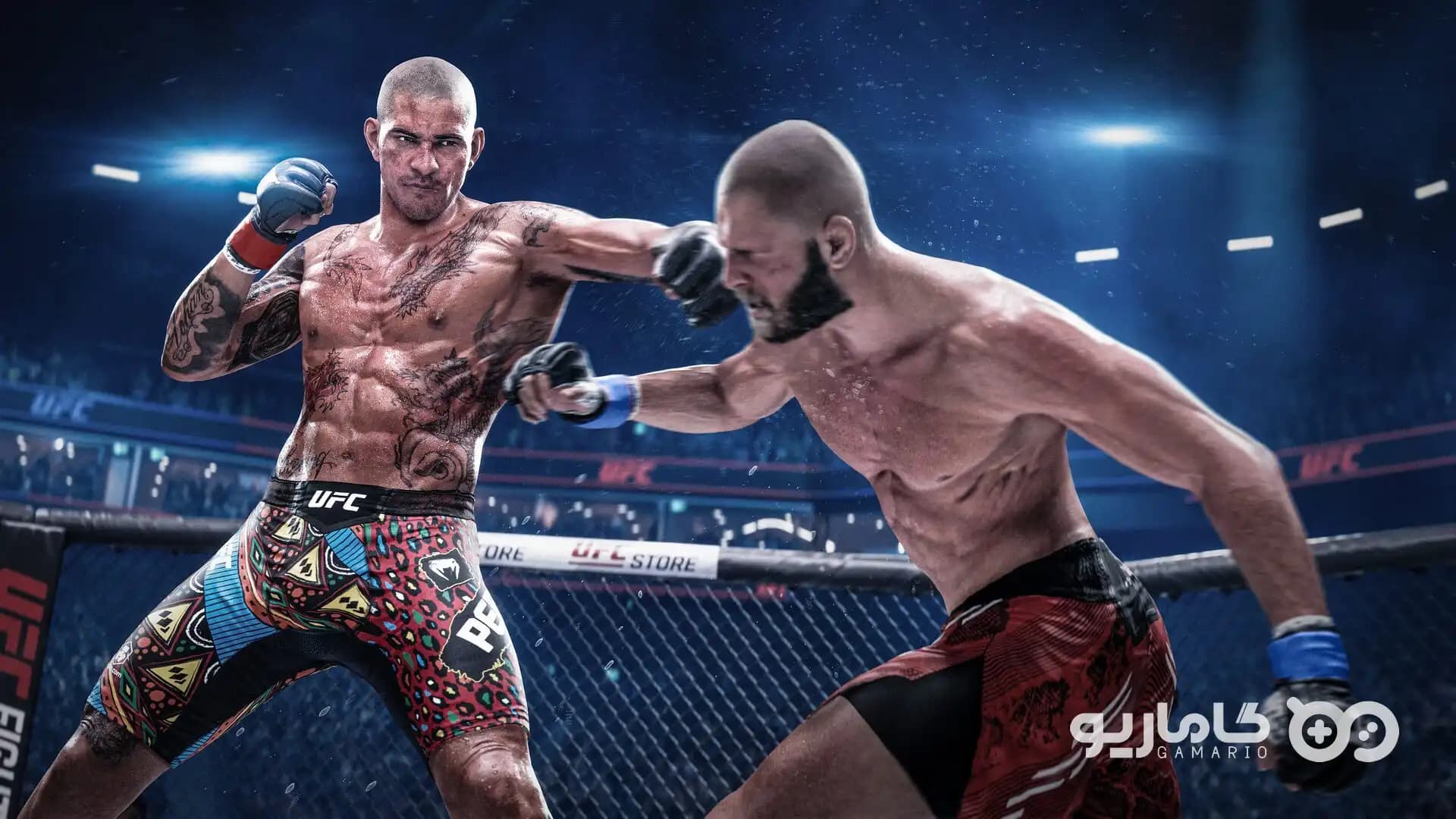 UFC 6 Ultimate Edition — تصویر ۸