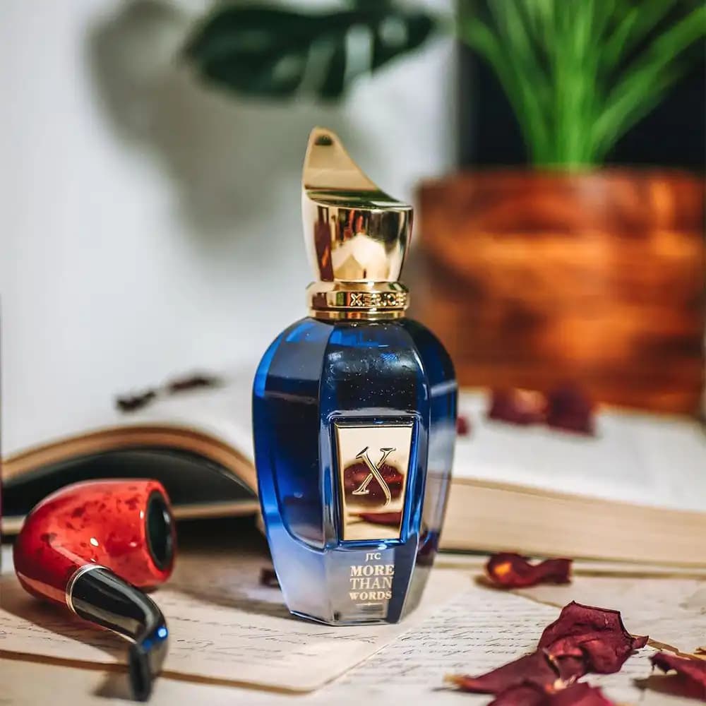 ادوپرفیوم مردانه زنانه زرژاف (زرجوف) مور دن ووردز _ Xerjoff More Than Words — تصویر ۹
