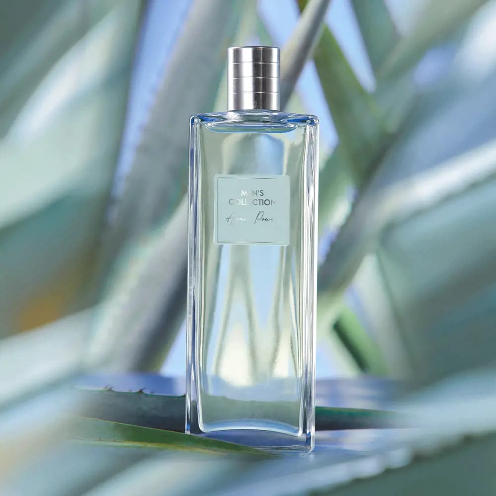 ادوتویلت مردانه منز کالکشن آگاو پاور اوریفلیم Men’s Collection Agave Power EDT — تصویر ۶