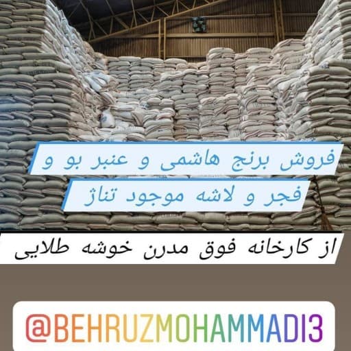 برنج طارم هاشمی فوق اعلا 10kg