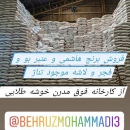برنج طارم هاشمی فوق اعلا 10kg — تصویر ۲