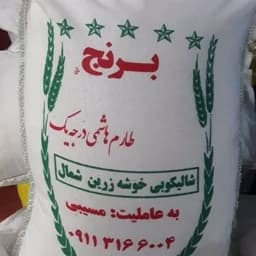 برنج طارم هاشمی امساله عمده(200کیلوگرم)مستقیم از درب کارخانه شالیکوبی — تصویر ۲