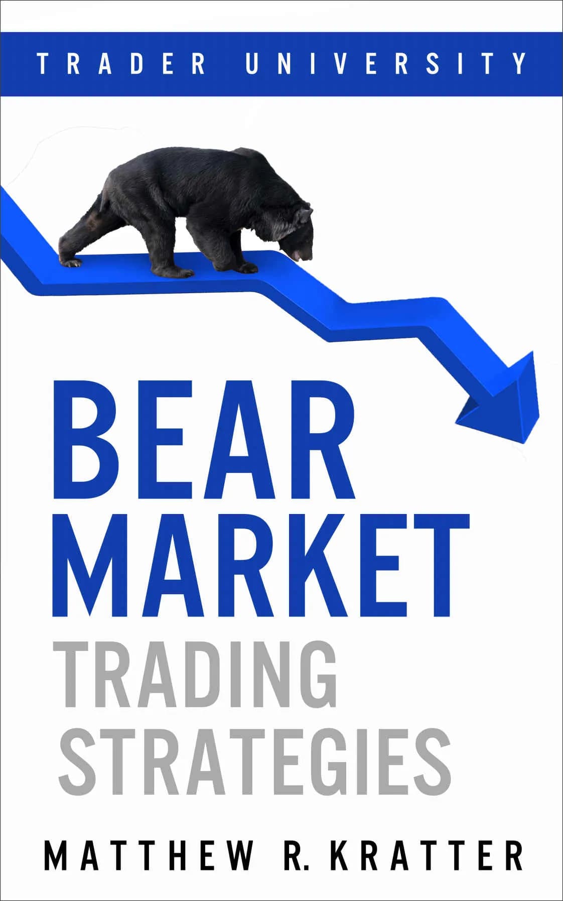 دانلود کتاب Bear Market Trading Strategies