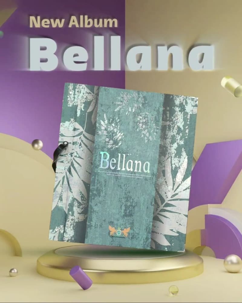 آلبوم کاغذ دیواری بلانا BELLANA — تصویر ۲