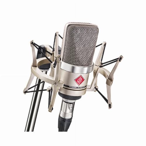 میکروفون Neumann TLM 102 With ShockMount