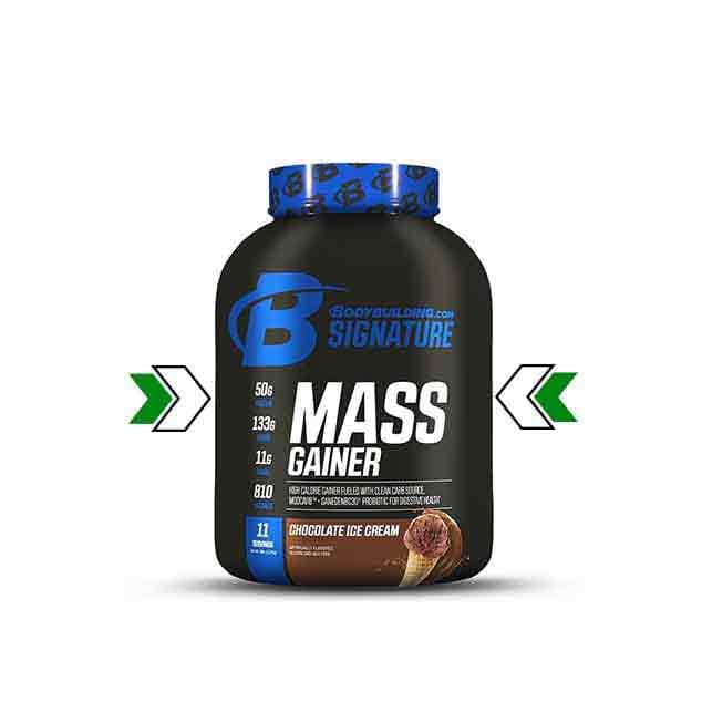 مس گینر بادی بیلدینگ – Bodybuilding Mass Gainer — تصویر ۲