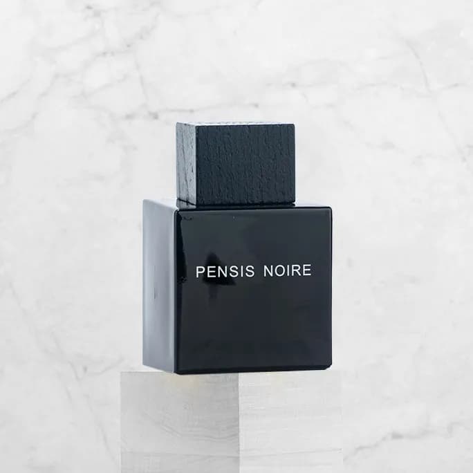 ادوپرفیوم مردانه پنسیس مدل Lalique Encre Noire — تصویر ۶